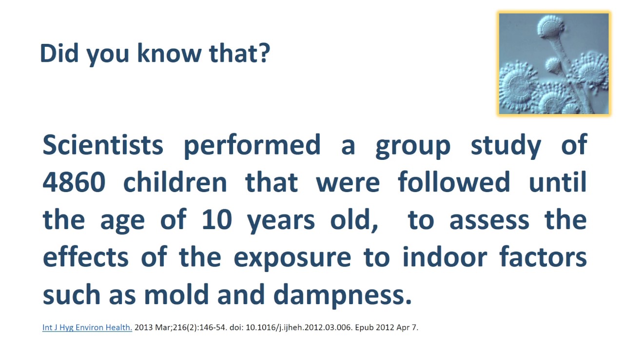 mold related mental disorders YouTube