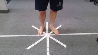 Hopping Drills - Star Pattern with Motor Control Targets