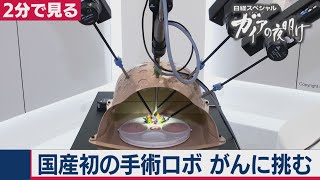 2021/2/9OA　独占取材！がんに立ち向かう　ニッポンの最新技術【２分で見るガイアの夜明け】