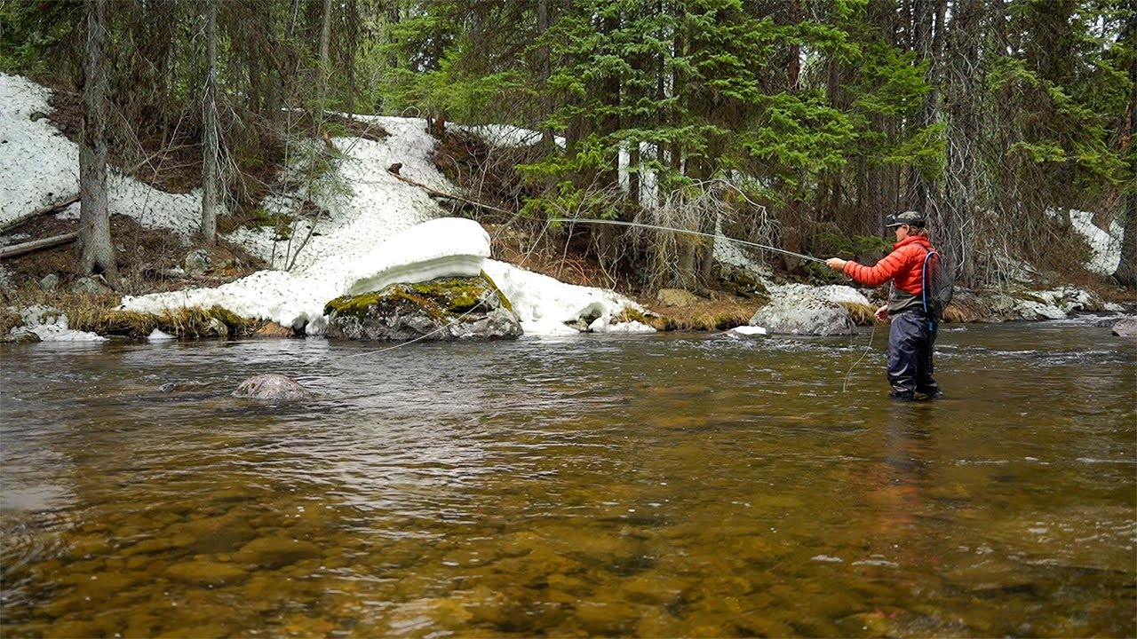 Is this the BEST Creek to Trout Fish?! (Fly Fishing for Rainbow Trout)