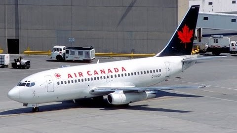 Canada flight diverted to save dog