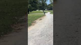 #shorts Paiseec S3 Mobility Scooter