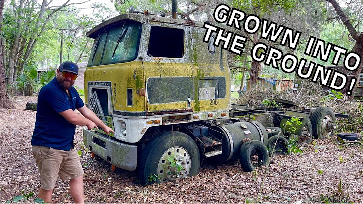 Semi Truck PARKED in 1995! Will It Start?