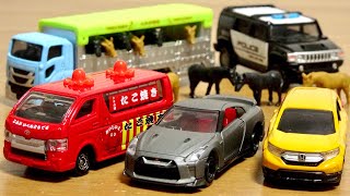 まーくん❗ トイザらスオリジナルロングトミカ ADVAN