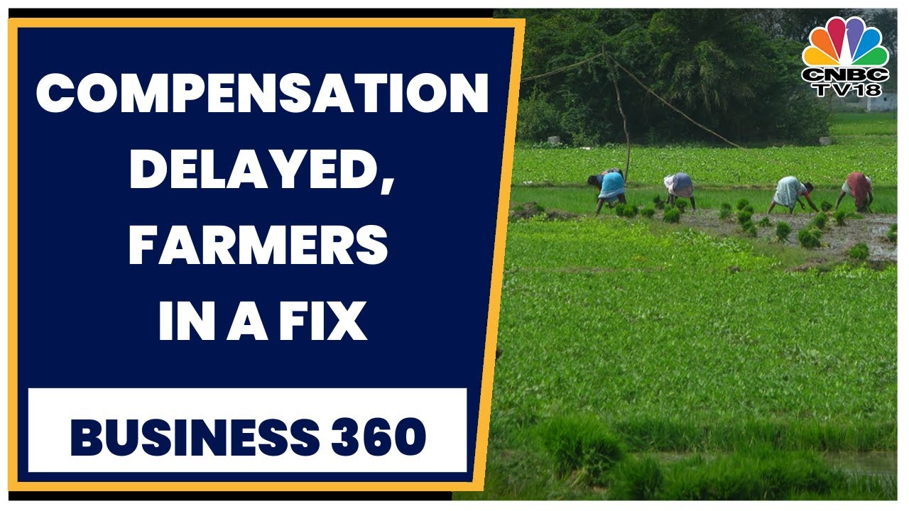 Unseasonal Rains Crop Damage Maharashtra Farmers Still Waiting For unseasonal-rains-crop-damage-maharashtra-farmers-still-waiting-for
