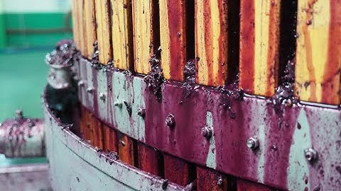 How wine is made: introducing the winemaking process