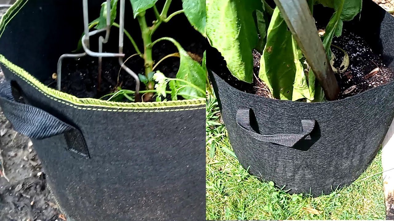 VIVOSUN Grow Bag vs. DELXO Grow Bag Indepth Review is VIVOSUN worth