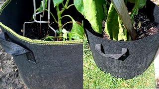 VIVOSUN Grow Bag vs. DELXO Grow Bag: Indepth Review is VIVOSUN worth 2x the price?