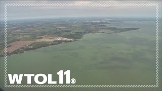 Federal judge rules Ohio EPA must regulate Lake Erie toxins
