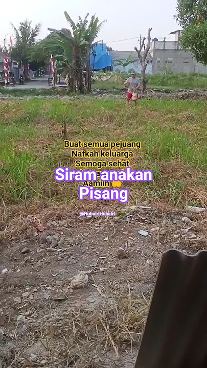 sorenya di sini #shorts #dangdut