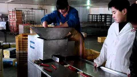 ham sausage Bundle packaging machine with auto counting (wilsonmachine@gmail.com)