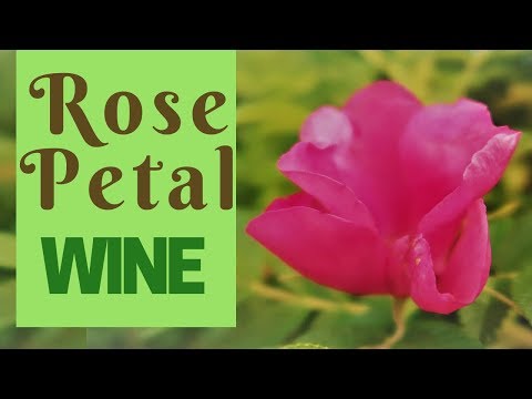 Video: How To Make Wine From Roses