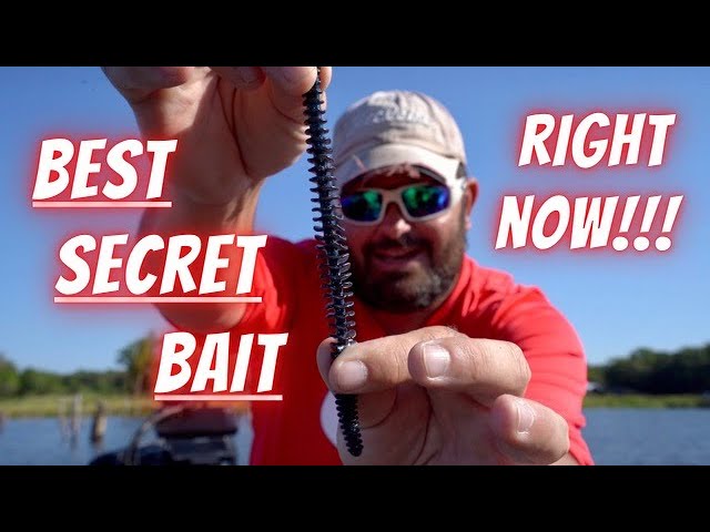 Lake Fork Bass Fishing Tournament Tips: Top Secret Plastic Worm Bait 90% Of  Anglers Aren't Using!!! 