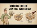 Grow UNLIMITED Protein in a Cardboard Box (7-Day Harvest!)