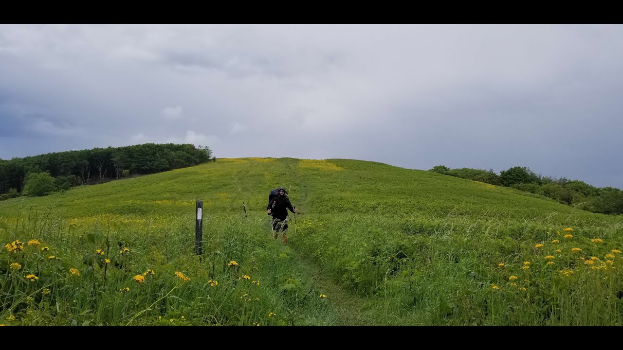 AMA about what I'm up to