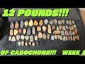 AGATES, PETRIFIED WOOD and JASPER!!! Tumbling 12 Pounds of CABOCHONS!!!