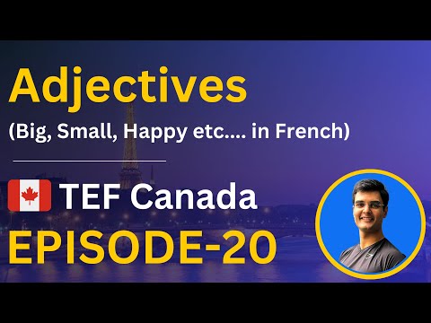 Adjectives in French | TEF Canada Prep. series