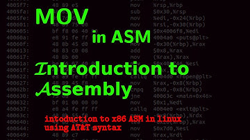 Data transfer instruction in 64bit ASM Hindi