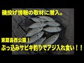 磯投げ情報の取材に潜入。東扇島西公園！ぶっこみサビキ釣りでアジ入れ食い！！