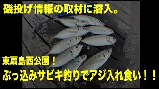 磯投げ情報の取材に潜入。東扇島西公園！ぶっこみサビキ釣りでアジ入れ食い！！