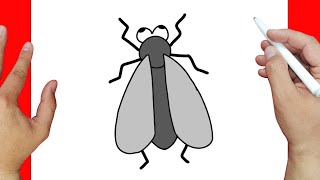 como dibujar una mosca | Dibujos fáciles