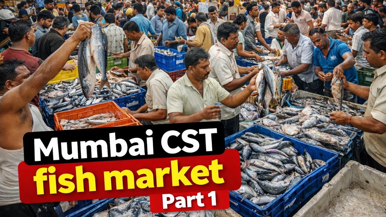 Mumbai CST Fish Market Wholesale Prices | Saturday Market | Part 1