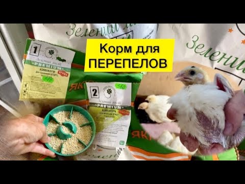 КУПИТЬ корм🍀ЗЕЛЕНИЙ ЛИСТ для перепелов и цыплят//Техасский мясной ...