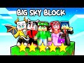 HO FATTO UNA SFILATA DI MODA su UN SOLO BLOCCO su MINECRAFT! - BIG SKYBLOCK