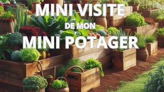 Mini visite de mon mini potager - première semaine de mai 2024