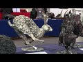 Nantes  les bronzes animaliers du sculpteur jos maria david ont trouv preneurs