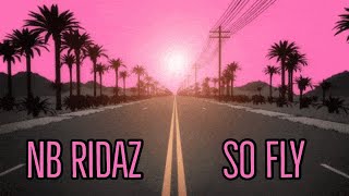 NB RIDAZ - SO FLY VIDEO LYRICS (SLOWED)