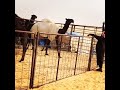 مسفر ابن مفرح ابن جديعان ال فهاد