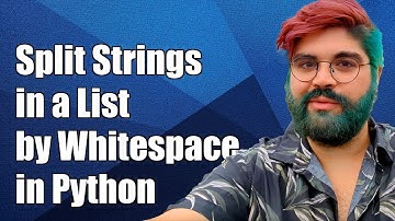 How to Split Strings in a List by Whitespace Characters in Python
