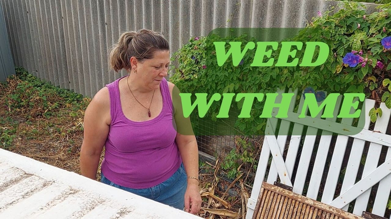 Weed with me in Perth (region) Western Australia | Garden Tidy Up February 2026