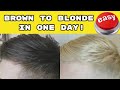 How to Dye Hair from Brown to Blonde at Home in One Day