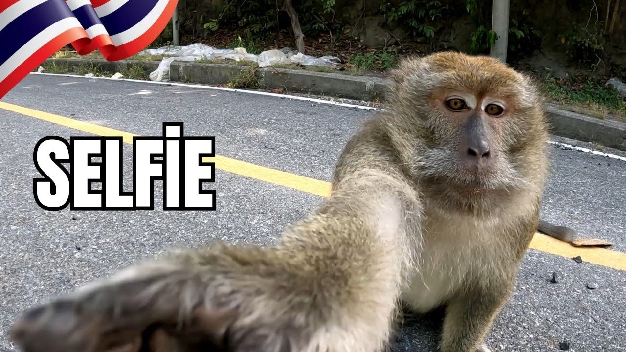 Tayland'ın Saklı Cenneti | 17 Saatlik Tren Yolculuğu | 🇹🇭 ~ 86