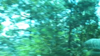 JTB Tour Mt Fuji Day Trip