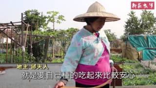 光正里綠色開心菜園