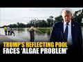 Trump’s Reflecting Pool Faces algae problem, water turns green as US’ 250th Independence Day nears