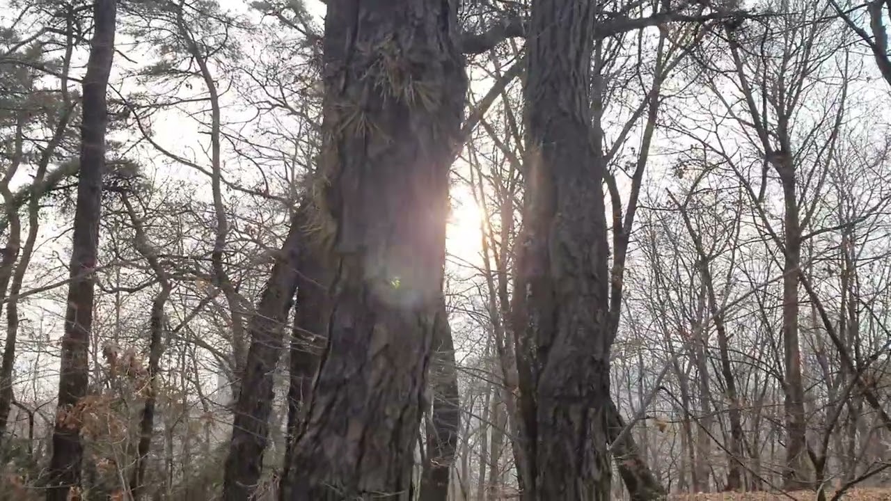 2026年 2月 26日 마을앞 공원 아직 겨울 풍경, 町の公園はまだ冬の風景!!