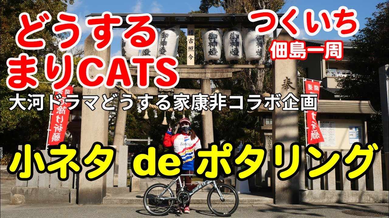 徳川家康ゆかりの佃島一周サイクリング!どうする家康?どうするまりCATS!佃で小ネタ炸裂