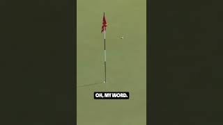 Is Phil Mickelson the true DOD king 🤔 #golf