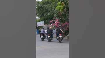 Nhóm thanh niên hỗn chiến #tintuc #tinnong #phapluat #tindongtroi #thinhhanh #phimhay #filmtok #revi