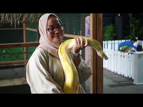 Serunya Main Bersama Hewan di Zoonimals