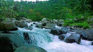 Relax Deeply with HD Tranquil ASMR River Water for Better Sleep and Mental Clarity
