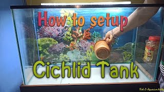 How to setup cichlid tank