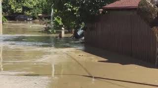 Вышедшая из берегов река затопила дома жителей Сочи