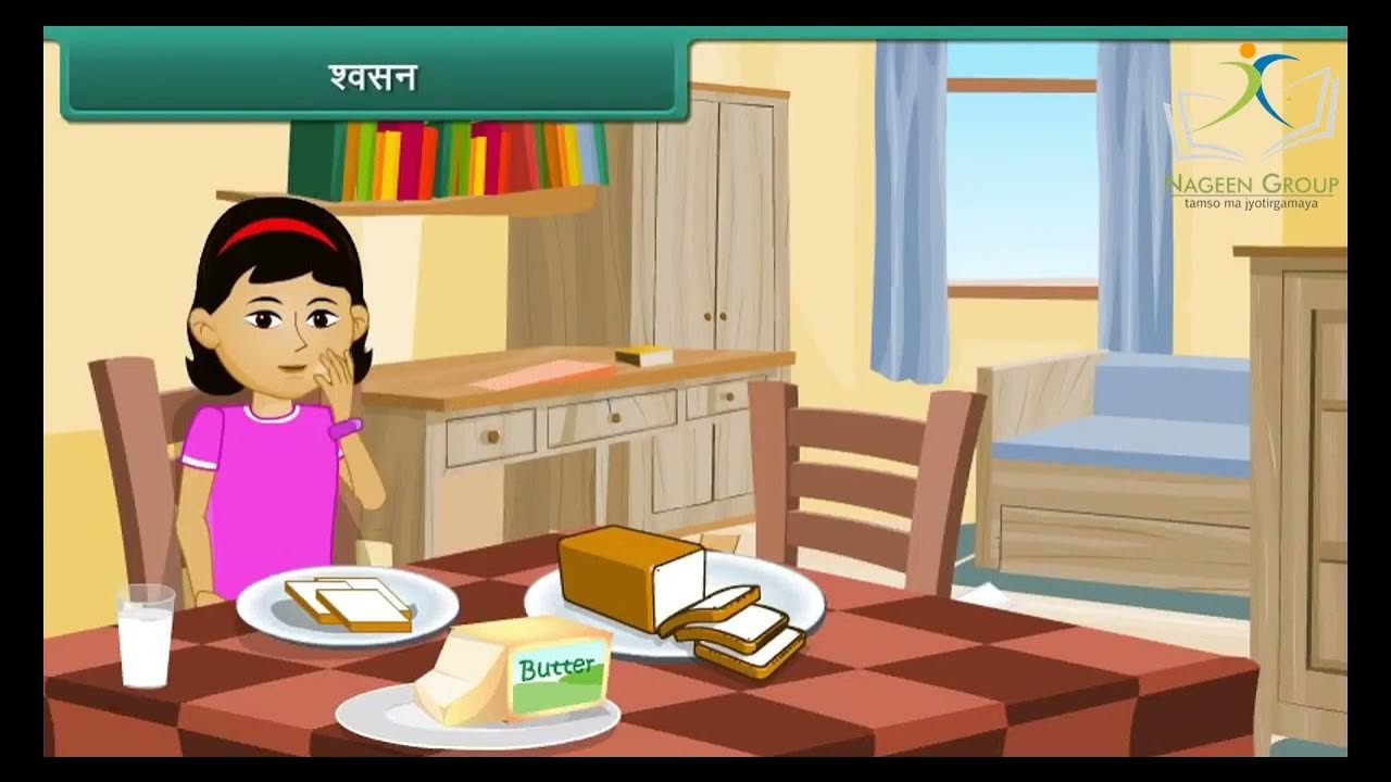 class-4-evs-chapter-living-and-non-living-things-in-hindi