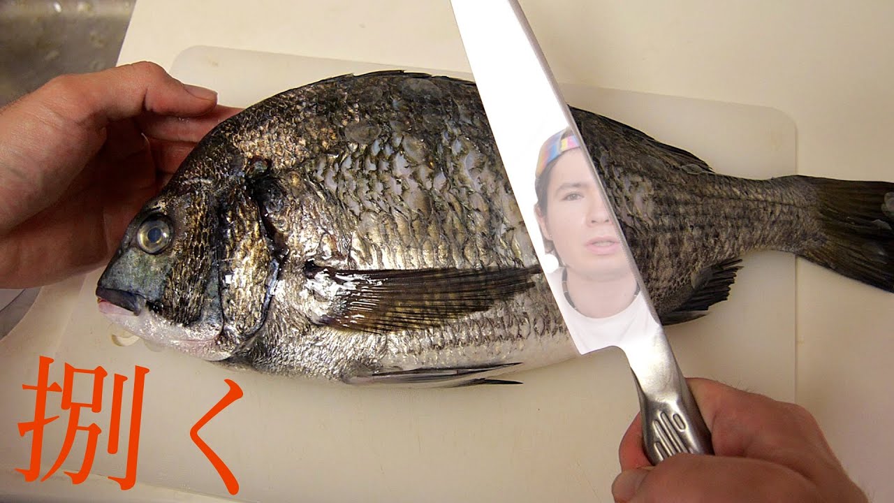 黒鯛さばいて寿司握るホイ 板前 Pds Youtube