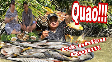 Đi Giăng Lưới Về Làm Món Cá Nướng Muối Ớt Quá Ngon ###Thái Mập TV 